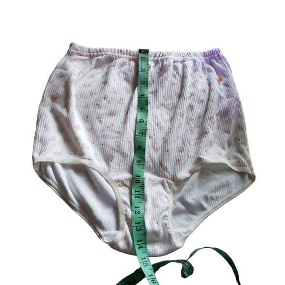 VTG Heavenly Secrets Panties Briefs Sz 10 - Picture 4 of 7